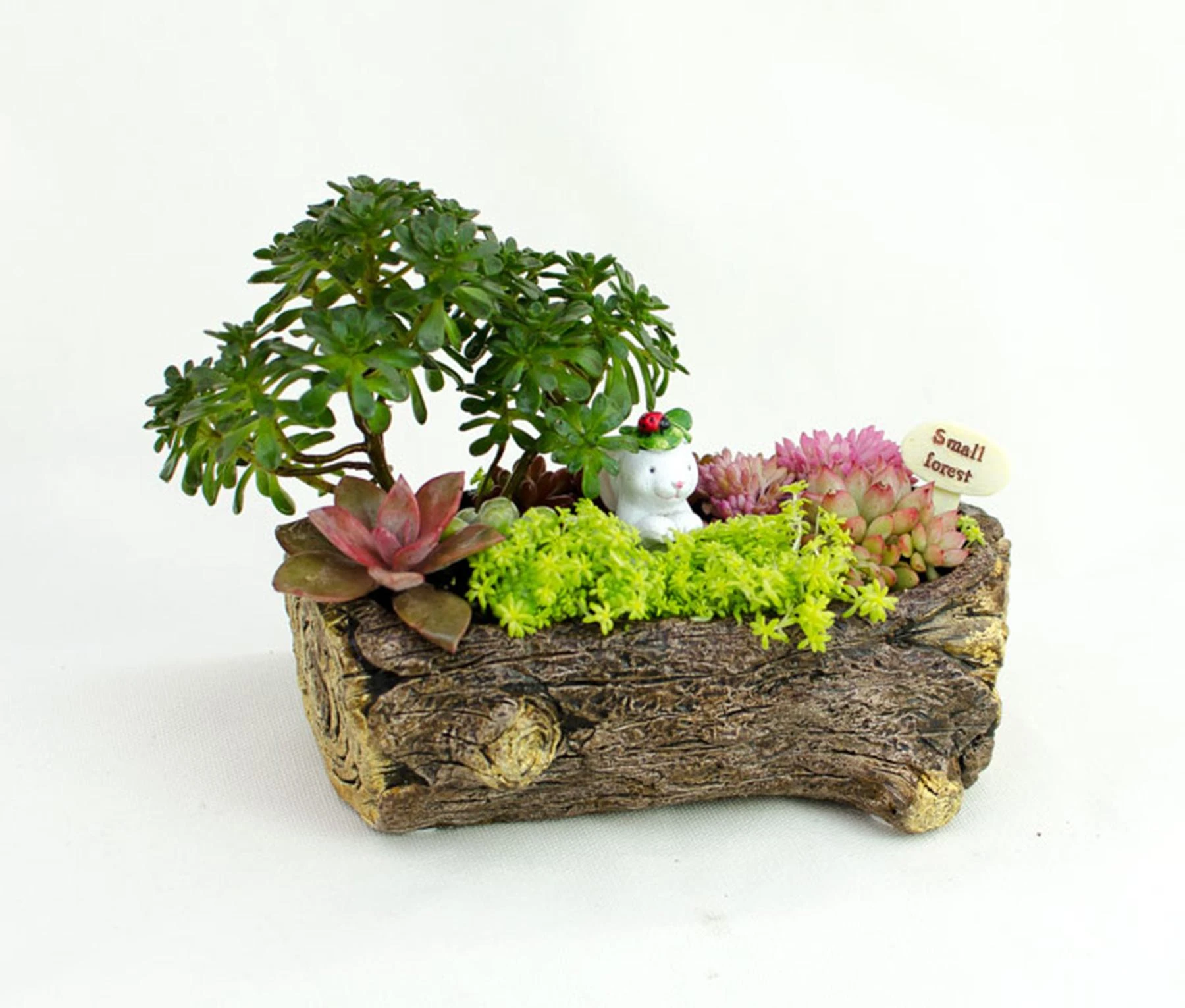 セメントウサギポットサボテン多肉植物植木鉢プランターミニガーデンデザイン Planter Design Plant Potdesign Plant Pot Aliexpress