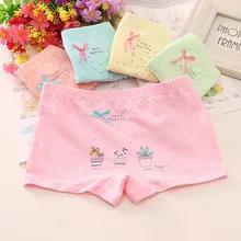  4PCS/LOT Kids Girls Cotton Panties Children Underwear Briefs 3-9Yrs 