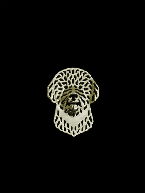 Portuguese Water Dog1