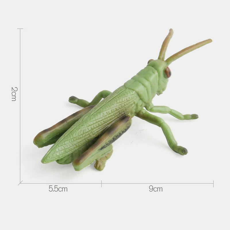 Пластиковая модель насекомого игрушки Жук насекомого паук бабочка модели Фигурки статуэтки набор игрушек 1 шт