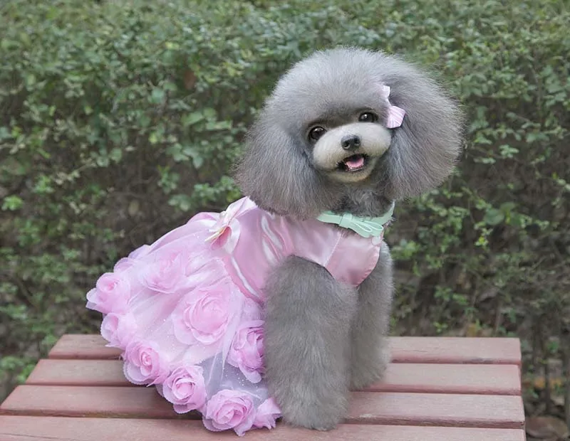 SYDZSW Dog Tutu Dress Pet Clothing for Small Dogs Cats Luxury Pearl Bowknot Puppy Dog Princess Dress Chihuahua Costume Wholesale8