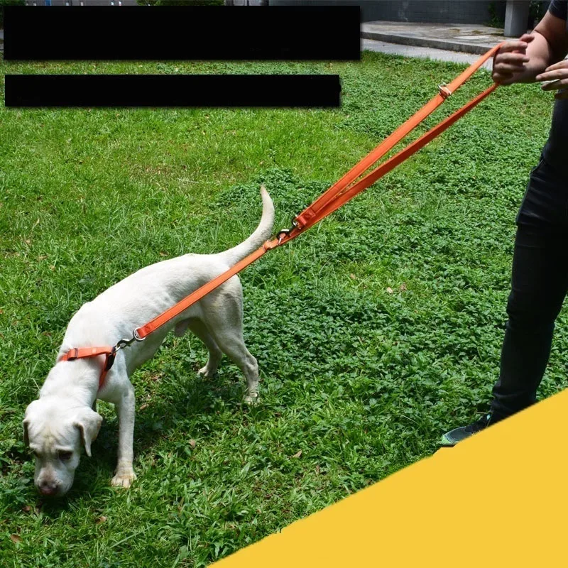 

Multi-Purpose Adjustable Dog Lead Hand Free Pet Training Leash Nylon Dog Leash for Walk 2 Dogs