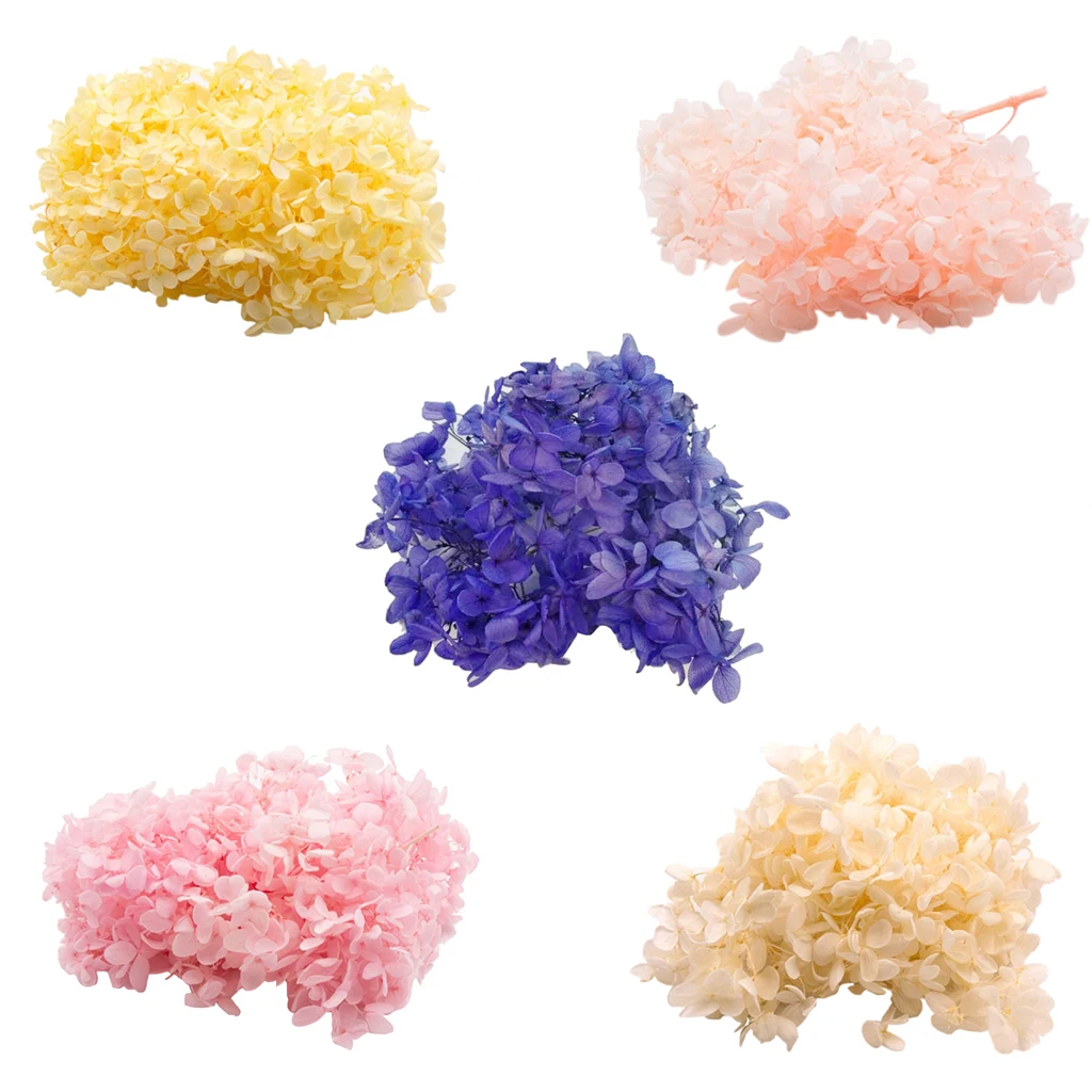 Real Natural Fresh Handmade Never Withered Hydrangea Preserved Flowers for Wedding Party Table Centerpiece Home Desk Decor