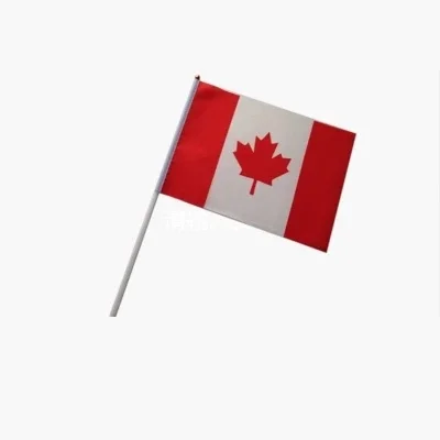 Canada Hand Waving Flag 14*21cm Canadian Small National Flags with Plastic Flagpoles | Дом и сад