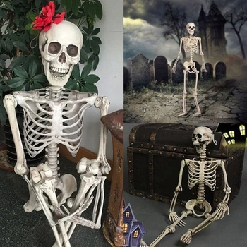 

Halloween Party Decoration Poseable 38*12CM Human Skull Skeleton Anatomical Skeleton Party Prop Deco