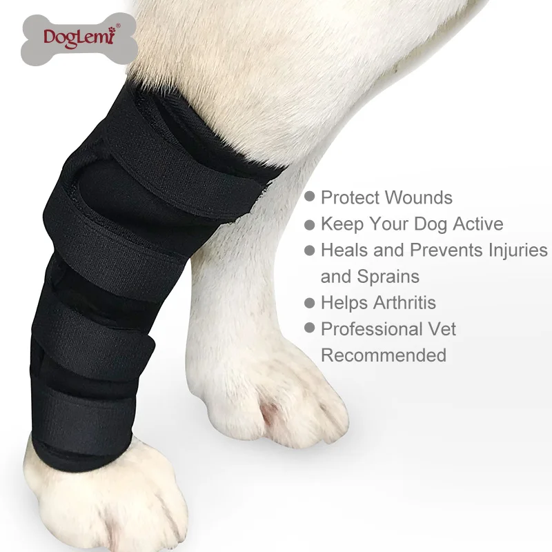 Buy Pet dog knee hock brace bandages straps for Canine