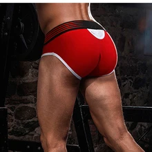 Brand Men Underwear Mesh Qucik-Dry Sexy Men Briefs Breathable Mens Slip Cueca Male Panties Underpants Briefs 5colors(China)