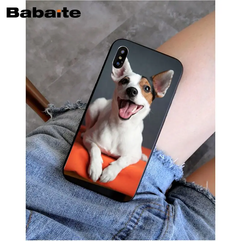 Babaite I love Jack Russell Terrier pop dog невероятный чехол для телефона для iphone 5 5s 5c SE и 6 6s 7 7plus 8 8plus чехол для телефона - Цвет: 7