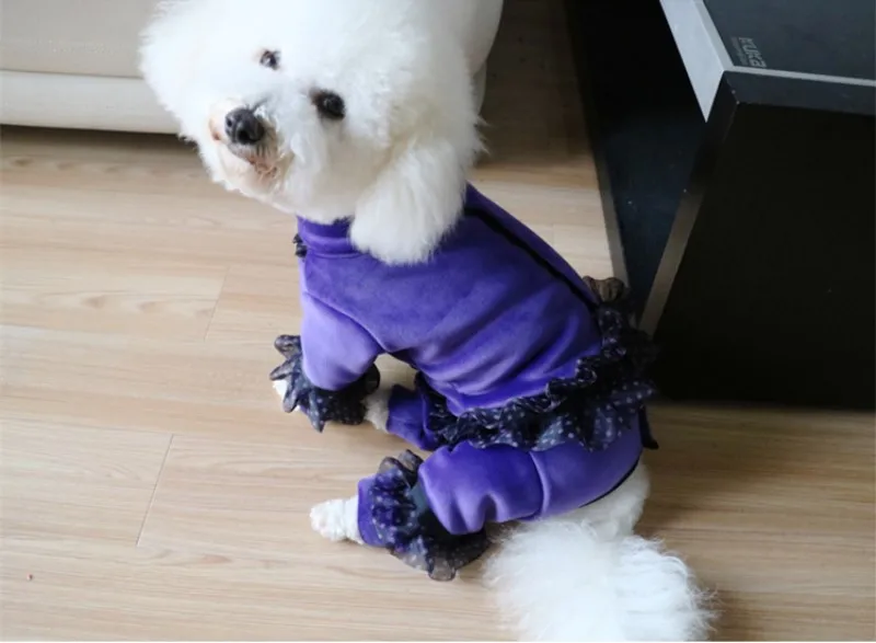 dog girl jumpsuits (13)