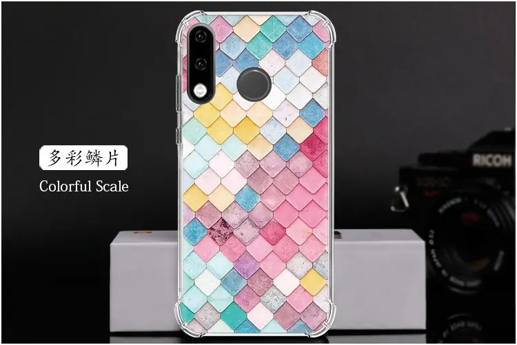  Colorful Scale