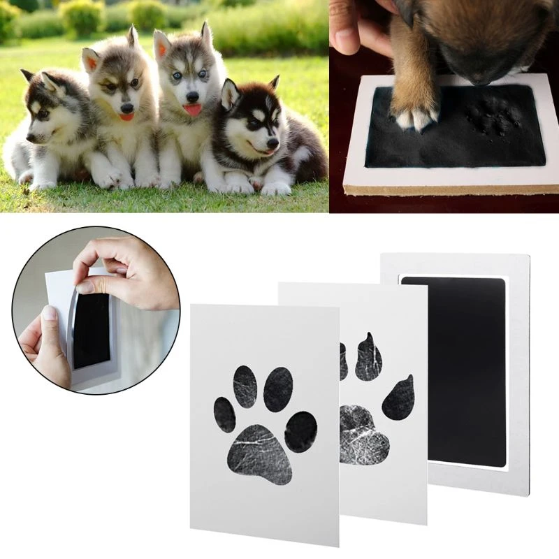 paw print stamp pad