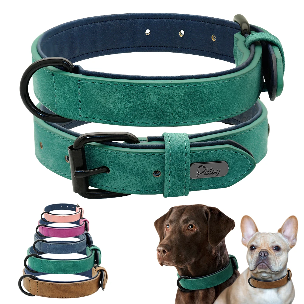 Top Collar Personalizado Perro Por Debajo De Su Presupuesto Con Guía De