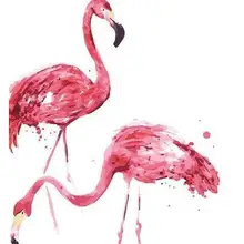 6084 Фламинго пара-краски по номерам наборы для взрослых DIY