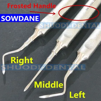 

Stainless Steel Dental Luxating Lift Elevator Teeth Clareador Curved Root Hexagon Handle Dentist Surgical Instrument Tool