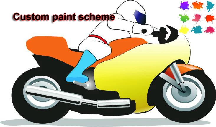 

extra payment for the custom paint scheme/shipping cost