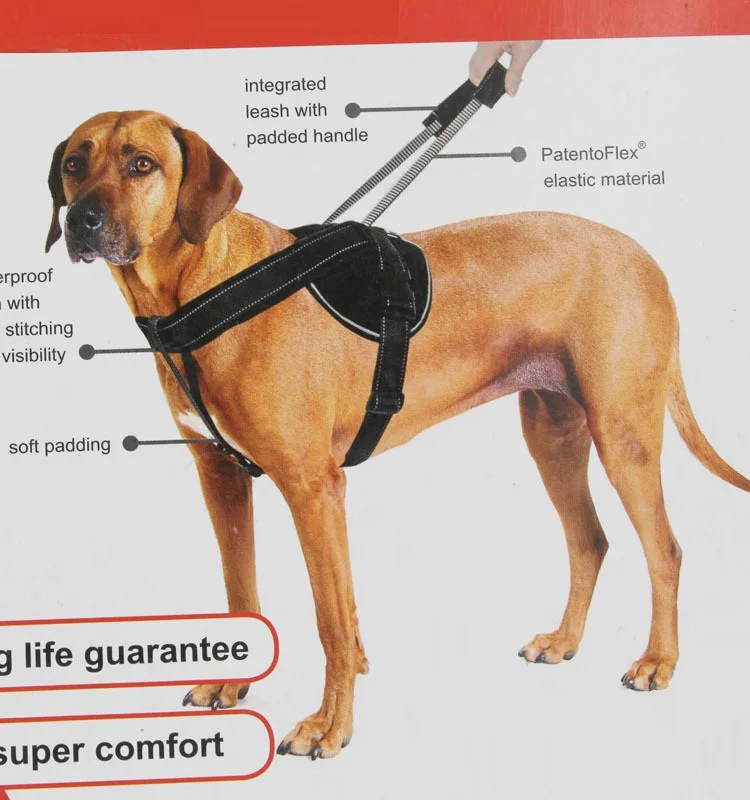 Explosion-proof Big Dog training harness Medium and large dog harness in black color