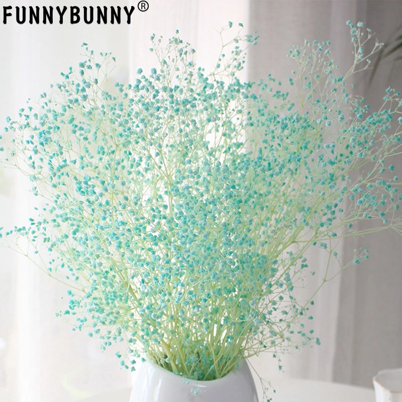 

FUNNYBUNNY Dried Babys Breath Flower, Dried Gypsophila, Dried Wheat Stalks (Natural Babys Breath)