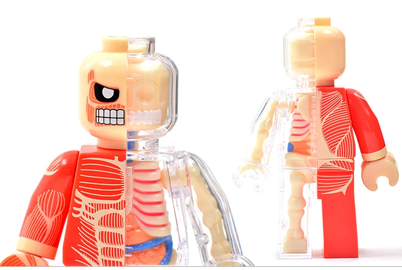 Одна деталь аниме 4D мастер Скелет анатомия модель кирпич человек кукла строительные блоки фигурки взрослых детей наука игрушки подарки