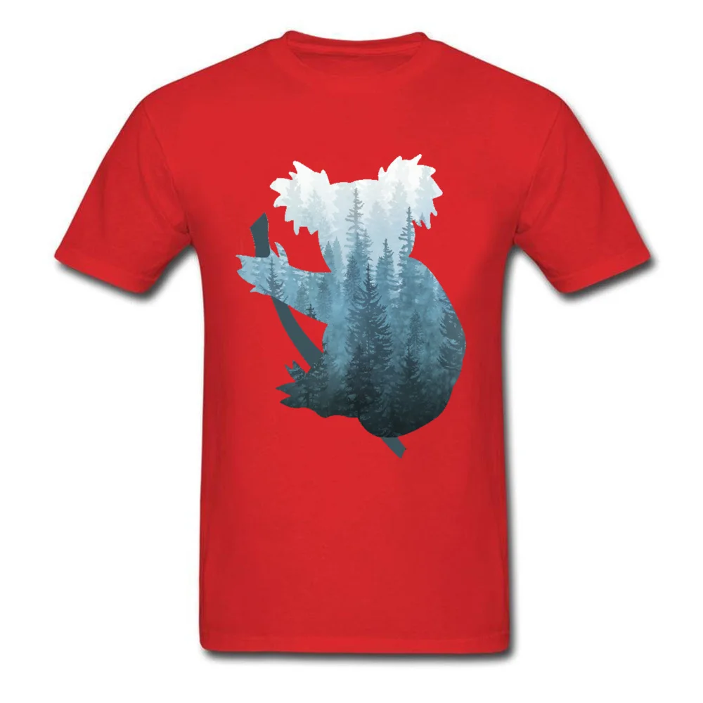 Misty Forest Koala Bear_red