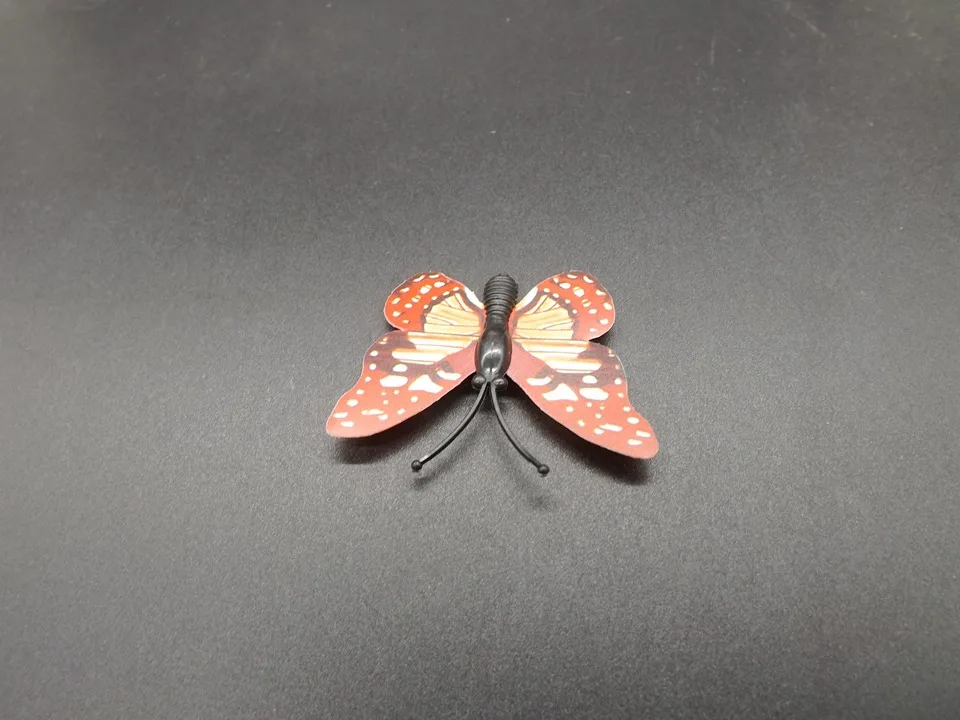 I257-Butterfly (8)