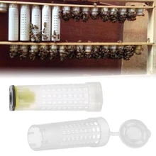 10 шт./пакет клетка для пчелиной матки защитный чехол для предотвращения укуса пчелы крышка Улей пластиковый для пчеловодства сотовый протектор пчелиная клетка