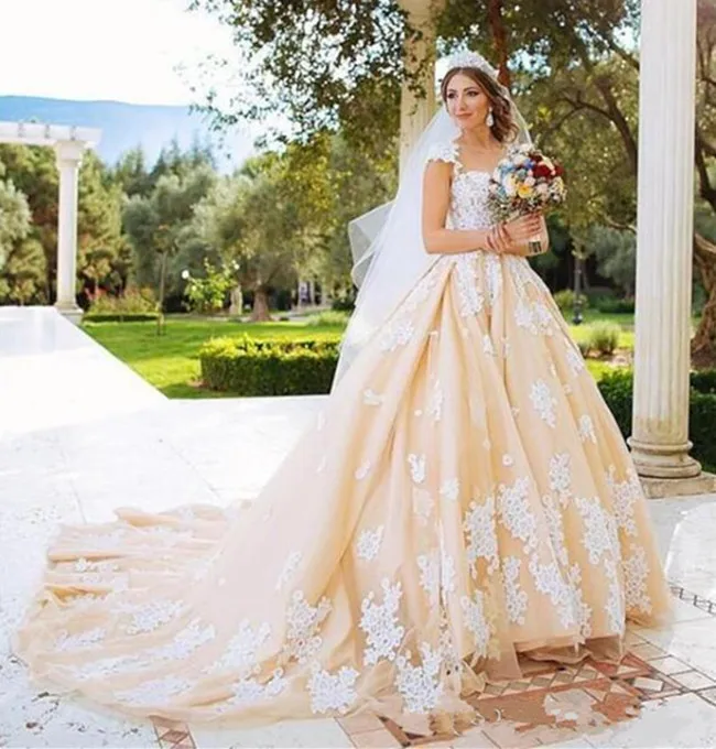 gorgeous-ball-gown-garden-wedding-dresses-new-2019-sheer-jewel-neck-lace-applique-cap-sleeve-plus-size-court-train-arabic-dubai-bridal-gowns (3)