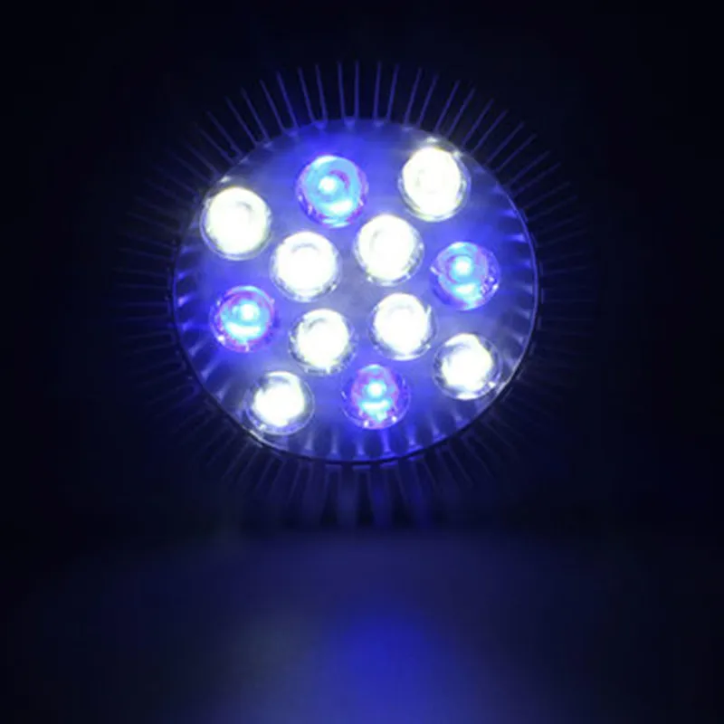 4348e205-cd69-45f4-91ef-1e4ec27eea19_