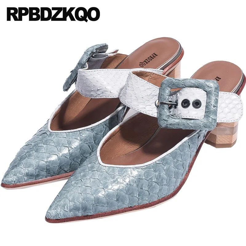 

Spring Designer Sandals Women Luxury 2018 Pumps Slides Mules Slippers Closed High Heels Snake Blue Block Pointed Genuine Leather