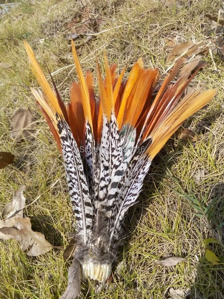 Wholesale 50 pcs / lot 8-10inches 20-25cm high quality natural Lady Amherst Pheasant Feather DIY jewelry decoration | Дом и сад