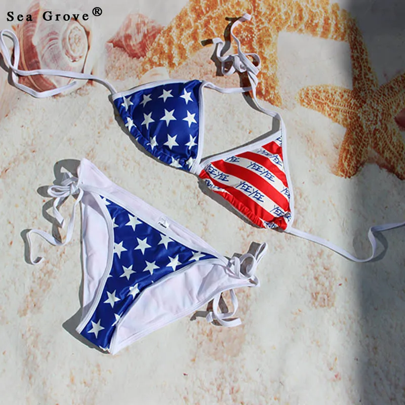 

2017 new style Bikini women plus size bikini sets sexy swimwear women summer swimwear women's swimsuits bathing suit