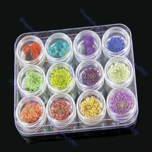 

12 kinds dried flower nail art acrylic decoration -B118