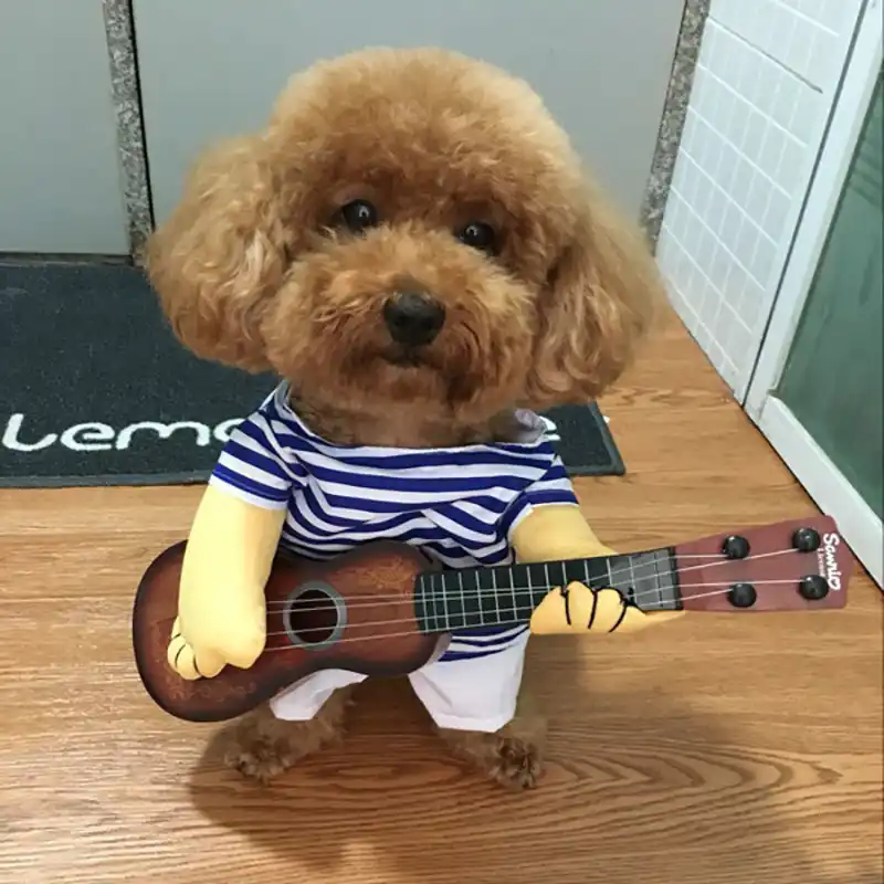 Cosplay Gitaris Anjing Pakaian Untuk Anjing Kecil Musim Dingin