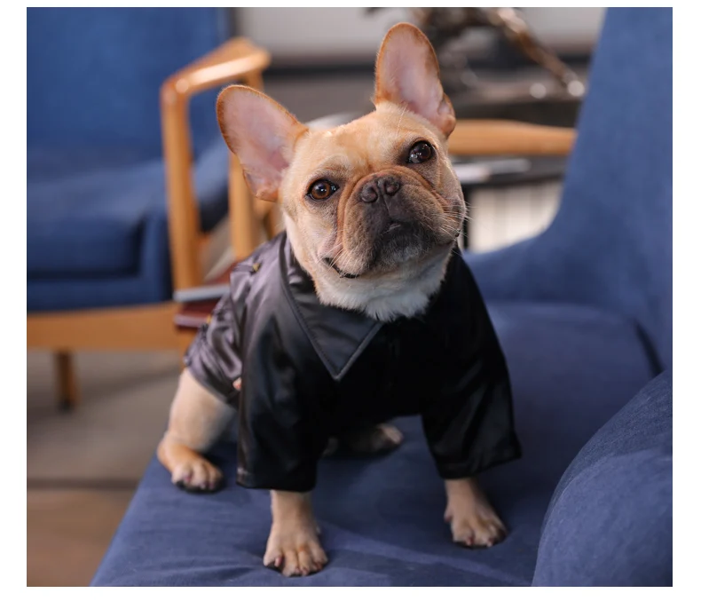 HOOPET ветрозащитная куртка для домашних животных, костюм для собак, красивый принт, для маленьких и средних собак