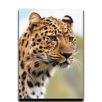 

Diy painting Diamond cross stitch of animals 3d Square or Round diamond mosaic embroidered Full of Leopard Snow Diamonds