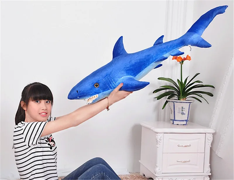 shark9