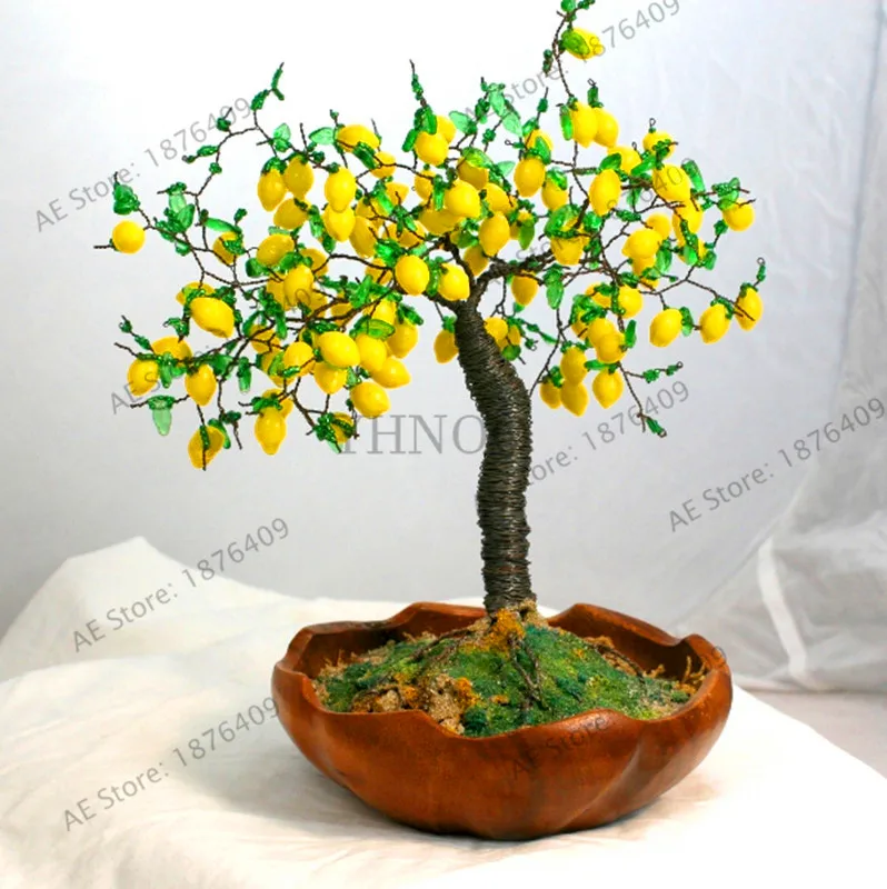 

New Arrival!20 Pcs Citrus limon Tree plant Fruit Garden Terrace plantas Orchard Farm Family Potted Bonsai Tree Lemon flores,#E8J