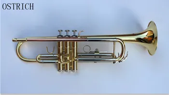 

New Ostrich Drop Three tone down the tune of B tricolor small musical instrument beginner band custom wholesale