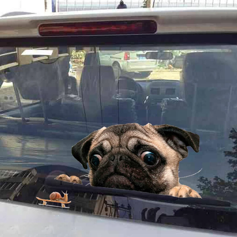 3D Pug Dogs Watch Snail Car Sticker Cartoon Car Styling Wall Home Glass Window Door Laptop Truck Decalcomanie In Vinile