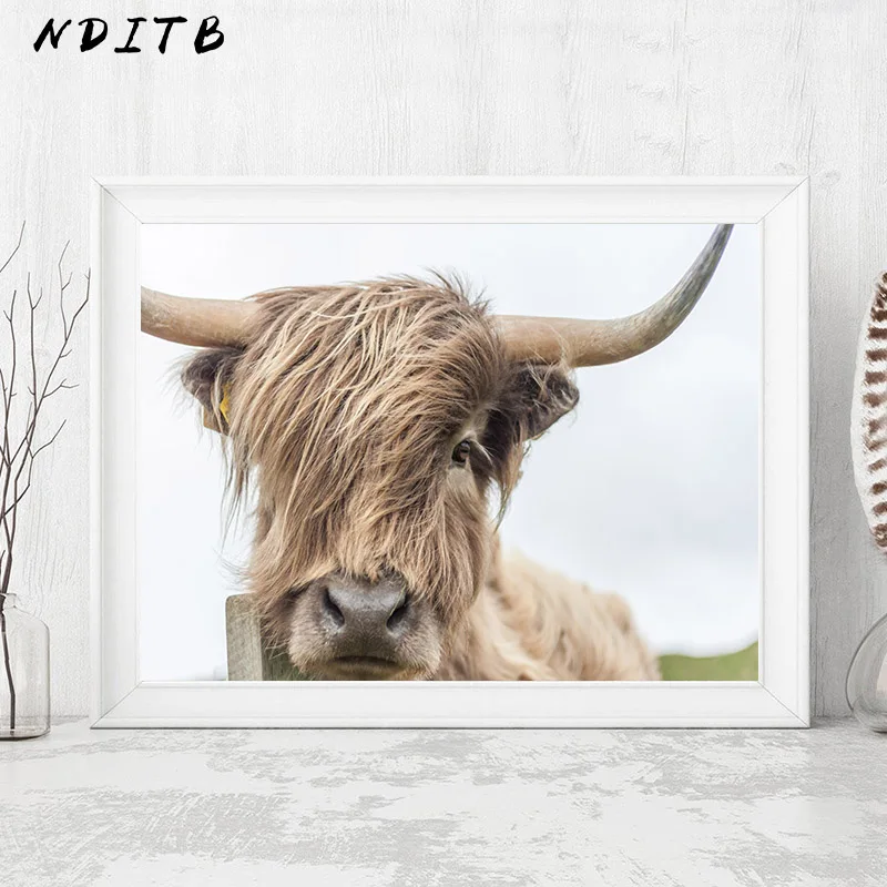 NDITB настенная живопись на холсте с изображением высокогорной коровы, постеры с животными и принтами, Северное украшение, настенные картины для гостиной, домашний декор