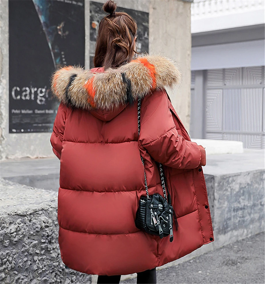 1 (5)