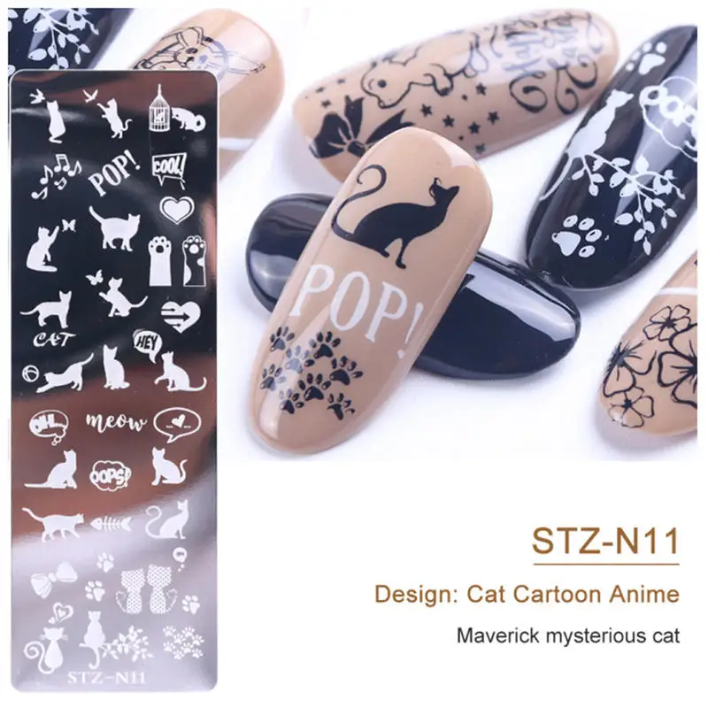 300791_no-logo_300791-1-21