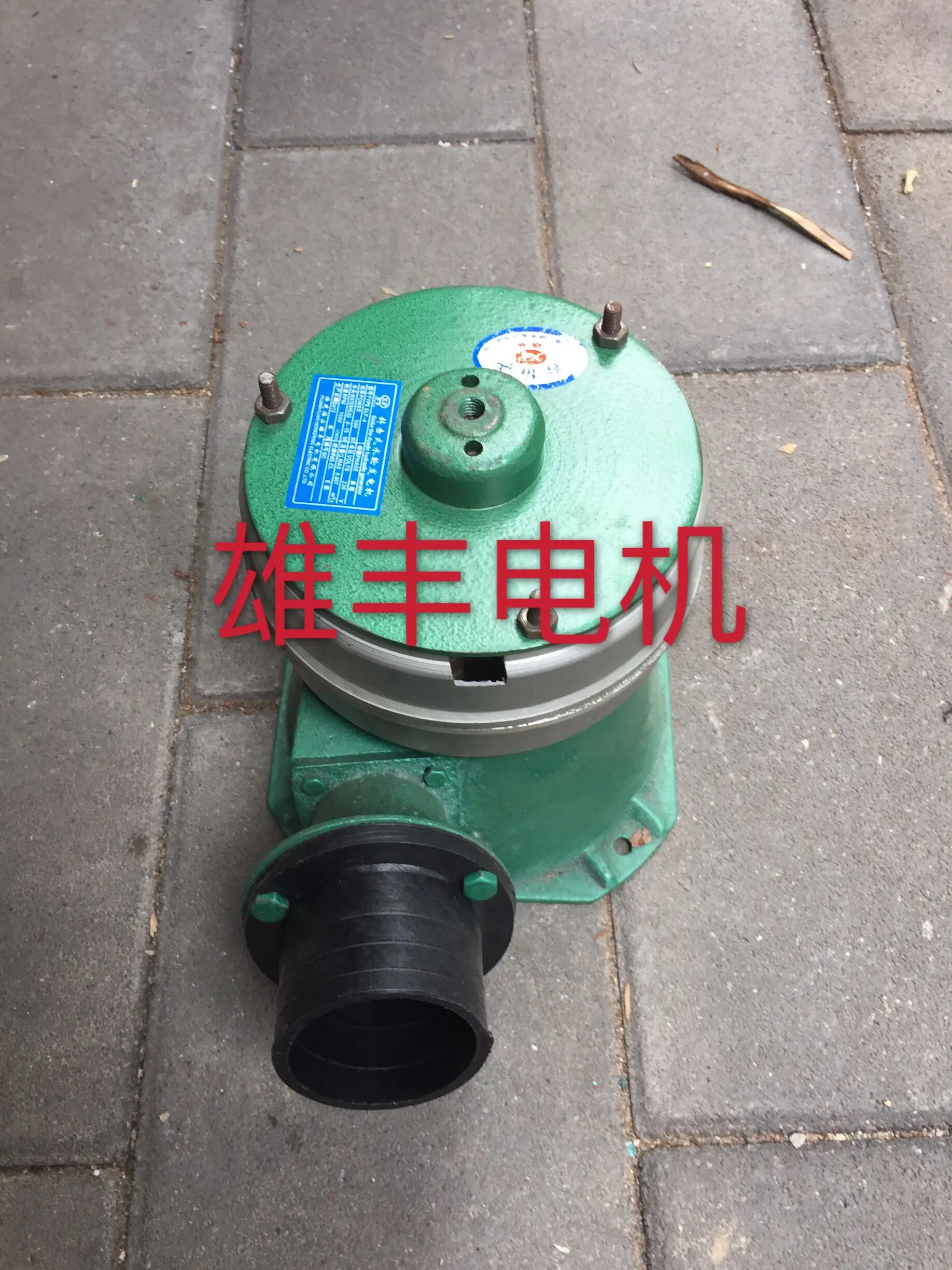 

500W full copper single-phase permanent magnet slanting hydroelectric generator 0.5kw hydro-generator water generator