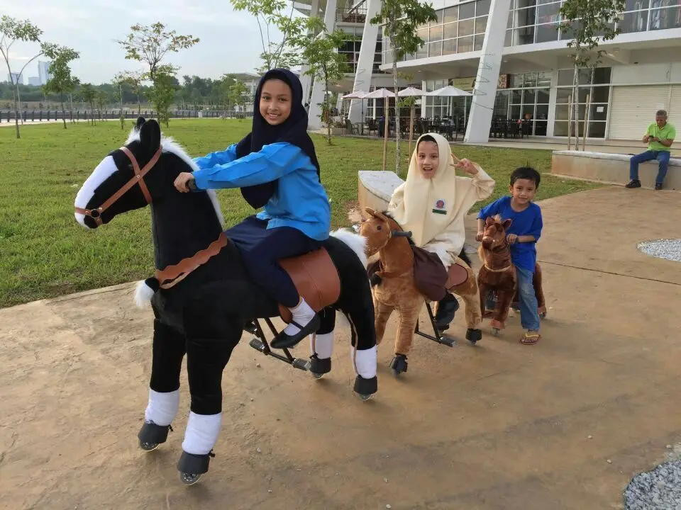 mechanical ride on horse (4)