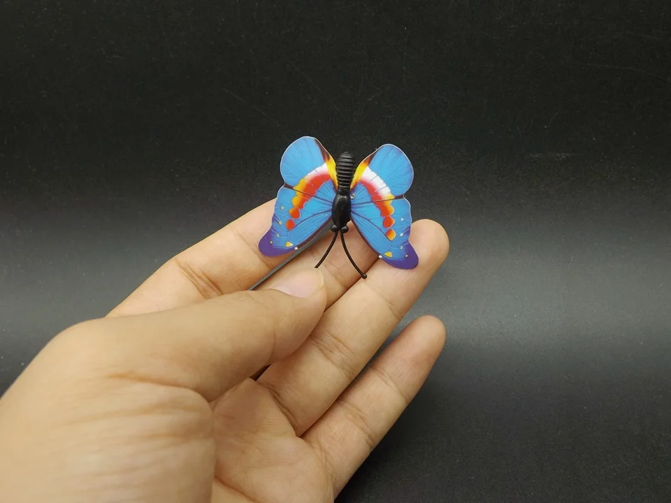 I266-Butterfly (3)