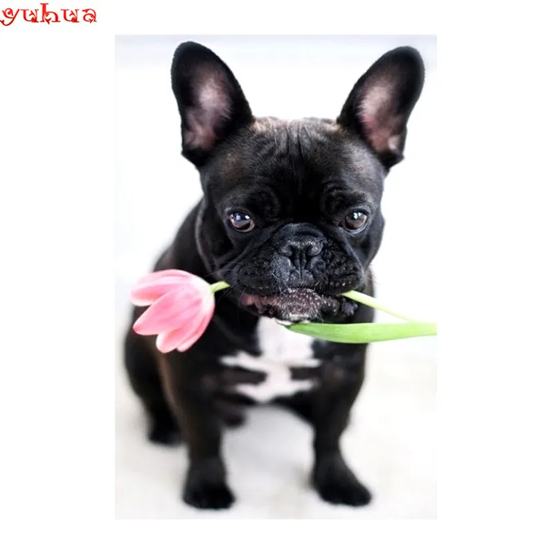 Full Square Diamond 5D DIY Painting Cute dog 3D Embroidery Cross Stitch Mosaic Home Decor | Дом и сад