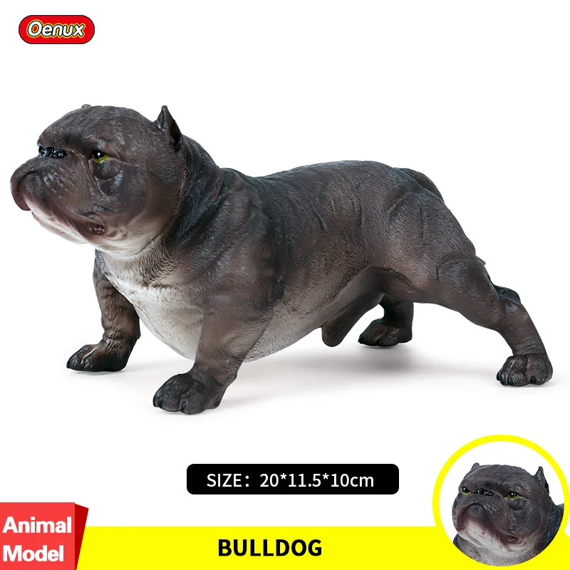 

Oenux Lifelike Large Gray Bully Pitbull Terrier Action Figures 20x11.5x10cm Dog Animals Model Figurine PVC Educational Toy Gift