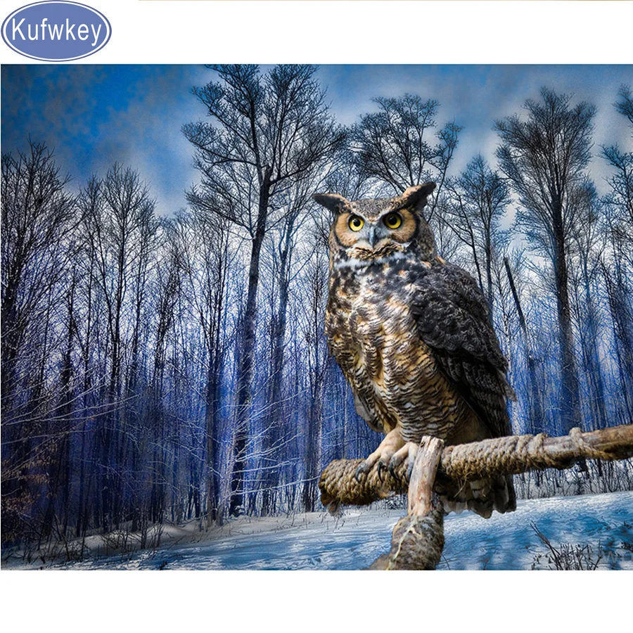 

Needlework 5D Diy Diamond Painting owl,Cross Stitch,Needlework Home Decorative Full Square Diamond Embroidery owl 3d picture
