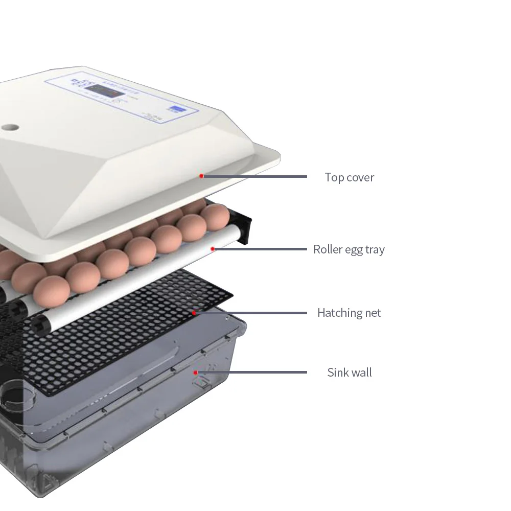 56 Eggs Incubator Digital Eggs Poultry Hatcher with Automatic Temperature and Humidity Control Auto-turning for Chicken Duck etc 56 Eggs Incubator Digital Eggs Poultry Hatcher with Automatic Temperature and Humidity Control Auto-turning for Chicken Duck etc