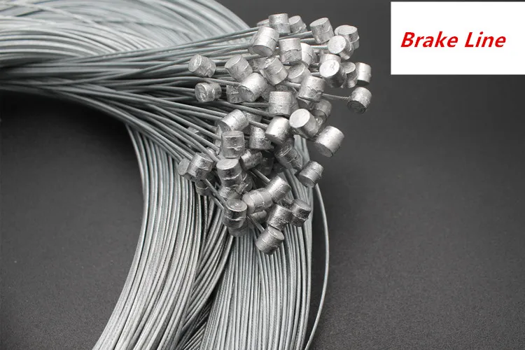 3956060986_407582160