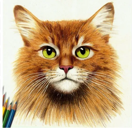 

5D Diy Diamond Painting Color Cat Needlework Square Embroidery Rhinestone Full Pattern Paintings Decoration Hand Paintings KJ260